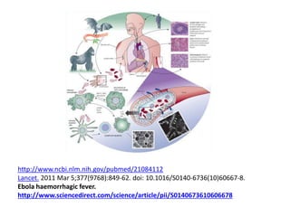 http://www.ncbi.nlm.nih.gov/pubmed/21084112
Lancet. 2011 Mar 5;377(9768):849-62. doi: 10.1016/S0140-6736(10)60667-8.
Ebola haemorrhagic fever.
http://www.sciencedirect.com/science/article/pii/S0140673610606678