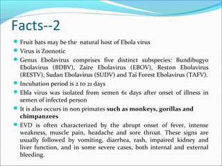 Facts--2
Fruit bats may be the natural host of Ebola virus
Virus is Zoonotic
Genus Ebolavirus comprises five distinct subspecies: Bundibugyo
Ebolavirus (BDBV), Zaire Ebolavirus (EBOV), Reston Ebolavirus
(RESTV), Sudan Ebolavirus (SUDV) and Taï Forest Ebolavirus (TAFV).
Incubation period is 2 to 21 days
Ebla virus was isolated from semen 61 days after onset of illness in
semen of infected person
It is also occurs in non primates such as monkeys, gorillas and
chimpanzees
EVD is often characterized by the abrupt onset of fever, intense
weakness, muscle pain, headache and sore throat. These signs are
usually followed by vomiting, diarrhea, rash, impaired kidney and
liver function, and in some severe cases, both internal and external
bleeding.
 