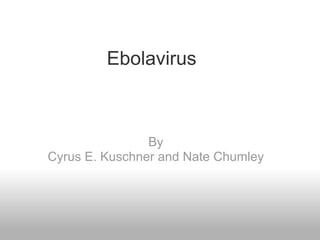 Ebolavirus



                By
Cyrus E. Kuschner and Nate Chumley
 