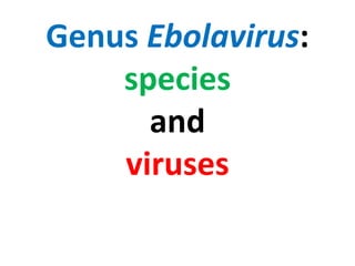 Genus Ebolavirus:
species
and
viruses
 