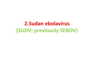 2.Sudan ebolavirus
(SUDV; previously SEBOV)
 