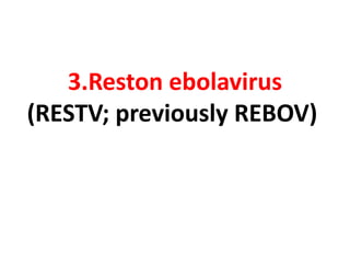3.Reston ebolavirus
(RESTV; previously REBOV)
 