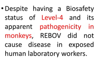 •Despite having a Biosafety
status of Level-4 and its
apparent pathogenicity in
monkeys, REBOV did not
cause disease in exposed
human laboratory workers.
 