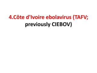 4.Côte d'Ivoire ebolavirus (TAFV;
previously CIEBOV)
 