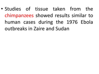 • Studies of tissue taken from the
chimpanzees showed results similar to
human cases during the 1976 Ebola
outbreaks in Zaire and Sudan
 