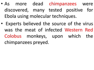 • As more dead chimpanzees were
discovered, many tested positive for
Ebola using molecular techniques.
• Experts believed the source of the virus
was the meat of infected Western Red
Colobus monkeys, upon which the
chimpanzees preyed.
 