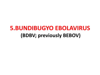 5.BUNDIBUGYO EBOLAVIRUS
(BDBV; previously BEBOV)
 