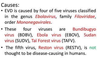 Causes:
• EVD is caused by four of five viruses classified
in the genus Ebolavirus, family Filoviridae,
order Mononegavirales.
• These four viruses are Bundibugyo
virus (BDBV), Ebola virus (EBOV), Sudan
virus (SUDV), Taï Forest virus (TAFV).
• The fifth virus, Reston virus (RESTV), is not
thought to be disease-causing in humans.
 