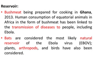 Reservoir:
• Bushmeat being prepared for cooking in Ghana,
2013. Human consumption of equatorial animals in
Africa in the form of bushmeat has been linked to
the transmission of diseases to people, including
Ebola.
• Bats are considered the most likely natural
reservoir of the Ebola virus (EBOV);
plants, arthropods, and birds have also been
considered.
 