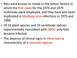 • Bats were known to reside in the cotton factory in
which the first cases for the 1976 and 1979
outbreaks were employed, and they have also been
implicated in Marburg virus infections in 1975 and
1980.
• Of 24 plant species and 19 vertebrate species
experimentally inoculated with EBOV, only bats
became infected.
• The absence of clinical signs in these bats is
characteristic of a reservoir species.
 
