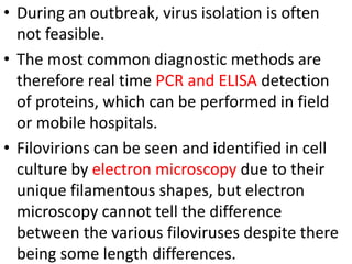 • During an outbreak, virus isolation is often
not feasible.
• The most common diagnostic methods are
therefore real time PCR and ELISA detection
of proteins, which can be performed in field
or mobile hospitals.
• Filovirions can be seen and identified in cell
culture by electron microscopy due to their
unique filamentous shapes, but electron
microscopy cannot tell the difference
between the various filoviruses despite there
being some length differences.
 