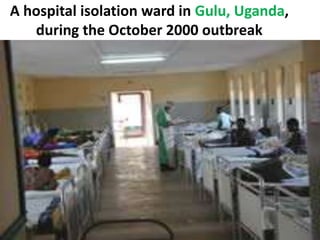 A hospital isolation ward in Gulu, Uganda,
during the October 2000 outbreak
 