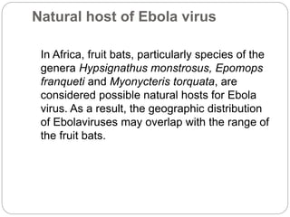 Natural host of Ebola virus 
In Africa, fruit bats, particularly species of the 
genera Hypsignathus monstrosus, Epomops 
...