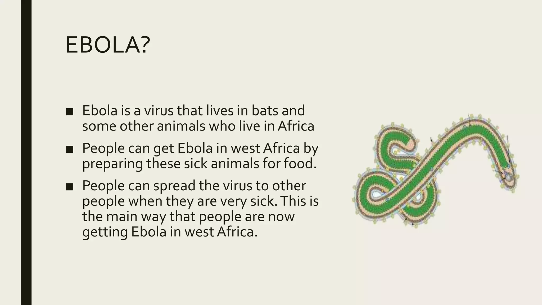 EBOLA?
■ Ebola is a virus that lives in bats and
some other animals who live in Africa
■ People can get Ebola in west Africa by
preparing these sick animals for food.
■ People can spread the virus to other
people when they are very sick.This is
the main way that people are now
getting Ebola in west Africa.
 