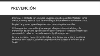 PREVENCIÓN
 Disminuir el contacto con animales salvajes que pudieran estar infectados como
simios, monos y algunos tipos de murciélagos. Evitar el consumo de carne cruda.
 Empleo de guantes y prendas protectoras para manipular animales.
 Utilizar guantes, mascarillas y batas especiales para disminuir el riesgo de
transmisión de persona a persona como consecuencia del contacto estrecho con
personas infectadas, en particular con sus líquidos corporales.
 Lavarse las manos frecuentemente, sobre todo después de visitar a familiares
enfermos en el hospital, así como después de haber cuidado a enfermos en el
hogar.
 