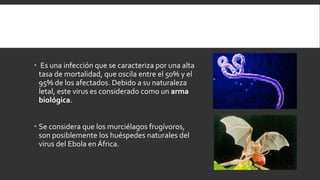  Es una infección que se caracteriza por una alta
tasa de mortalidad, que oscila entre el 50% y el
95% de los afectados. Debido a su naturaleza
letal, este virus es considerado como un arma
biológica.
 Se considera que los murciélagos frugívoros,
son posiblemente los huéspedes naturales del
virus del Ebola en África.
 