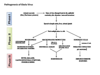 Pathogenesis of Ebola Virus
 