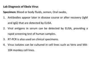 Lab Diagnosis of Ebola Virus
Specimen: Blood or body fluids, semen, Oral swabs,
1. Antibodies appear later in disease course or after recovery (IgM
and IgG) that are detected by ELISA.
2. Viral antigens in serum can be detected by ELISA, providing a
rapid screening test of human samples.
3. RT-PCR is also used on clinical specimens.
4. Virus isolates can be cultured in cell lines such as Vero and MA-
104 monkey cell lines.
 
