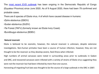 The most recent EVD outbreak has been ongoing in the Democratic Republic of Congo
(Equateur Province) since June 2020. As of 9 August 2020, there had been 79 confirmed and
probable cases.
There are 6 species of Ebola virus, 4 of which have caused disease in humans:
•Zaïre ebolavirus (EBOV)
•Sudan ebolavirus (SUDV)
•Tai Forest (TAFV) (formerly known as Ebola Ivory Coast)
•Bundibugyo ebolavirus (BDBV)
Natural reservoir
Ebola is believed to be zoonotic, however, the natural reservoir is unknown, despite extensive
investigations. Non-human primates have been a source of human infection, however, they are not
thought to be the reservoir as they develop severe, fatal illness when infected.
High numbers of animal carcasses were noted in surrounding areas prior to outbreaks in Gabon
and DRC, and recovered carcasses were infected with a variety of strains of Ebola virus suggesting they
were not the reservoir but had been infected by more than one source.
Harvesting of migrating fruit bats was thought to be the source of a large outbreak in the DRC in 2007.
 