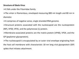 Structure of Ebola Virus
It falls under the Filoviridae family.
The virion is filamentous, enveloped measuring 800 nm length and 80 nm in
diameter.
It comprises of negative sense, single stranded RNA genome.
Structural proteins associated with the nucleocapsid are the nucleoprotein
(NP), VP30, VP35, and the polymerase (L) protein.
Membrane-associated proteins are the matrix protein (VP40), VP24, and the
GP (peplomer glycoprotein).
The nucleocapsid is encapsulated by an outer viral envelope originating from
the host cell membrane with characteristic 10 nm long viral glycoprotein (GP)
spikes that initiates attachment.
 