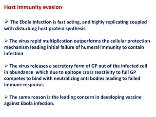 Host Immunity evasion
 The Ebola infection is fast acting, and highly replicating coupled
with disturbing host protein synthesis
 The virus rapid multiplication outperforms the cellular protection
mechanism leading initial failure of humeral immunity to contain
infection
 The virus releases a secretory form of GP out of the infected cell
in abundance which due to epitope cross reactivity to full GP
competes to bind with neutralizing anti bodies leading to failed
immune response.
 The same reason is the leading concern in developing vaccine
against Ebola infection.
 