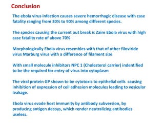 Conclusion
The ebola virus infection causes severe hemorrhagic disease with case
fatality ranging from 30% to 90% among different species.
The species causing the current out break is Zaire Ebola virus with high
case fatality rate of above 70%
Morphologically Ebola virus resembles with that of other filoviride
virus Marburg virus with a difference of filament size
With small molecule inhibitors NPC 1 (Cholesterol carrier) indentified
to be the required for entry of virus into cytoplasm
The viral protein GP shown to be cytotoxic to epithelial cells causing
inhibition of expression of cell adhesion molecules leading to vesicular
leakage.
Ebola virus evade host immunity by antibody subversion, by
producing antigen decoys, which render neutralizing antibodies
useless.
 