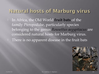  In Africa, the Old World fruit bats of the 
family Pteropodidae, particularly species 
belonging to the genus Rousettus aegyptiacus are 
considered natural hosts for Marburg virus. 
 There is no apparent disease in the fruit bats 
11/02/14 Dr. Vaibhav V. Rajhans 10 
 