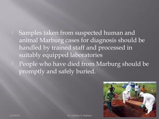  Samples taken from suspected human and 
animal Marburg cases for diagnosis should be 
handled by trained staff and processed in 
suitably equipped laboratories 
 People who have died from Marburg should be 
promptly and safely buried. 
11/02/14 Dr. Vaibhav V. Rajhans 18 
 