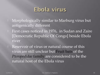  Morphologically similar to Marburg virus but 
antigenically different 
 First cases noticed in 1976, in Sudan and Zaire 
[Democratic Republic Of Congo] beside Ebola 
river 
 Reservoir of virus or natural course of this 
virus are still unclear but Fruit bats of the 
Pteropodidae family are considered to be the 
natural host of the Ebola virus 
11/02/14 Dr. Vaibhav V. Rajhans 19 
 
