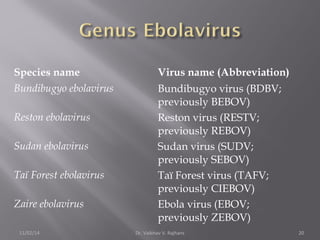 Species name Virus name (Abbreviation) 
Bundibugyo ebolavirus Bundibugyo virus (BDBV; 
previously BEBOV) 
Reston ebolavirus Reston virus (RESTV; 
previously REBOV) 
Sudan ebolavirus Sudan virus (SUDV; 
previously SEBOV) 
Taï Forest ebolavirus Taï Forest virus (TAFV; 
previously CIEBOV) 
Zaire ebolavirus Ebola virus (EBOV; 
previously ZEBOV) 
11/02/14 Dr. Vaibhav V. Rajhans 20 
 
