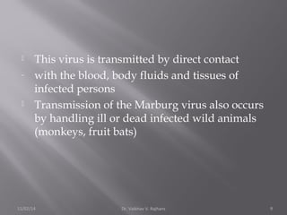  This virus is transmitted by direct contact 
- with the blood, body fluids and tissues of 
infected persons 
 Transmission of the Marburg virus also occurs 
by handling ill or dead infected wild animals 
(monkeys, fruit bats) 
11/02/14 Dr. Vaibhav V. Rajhans 9 
 