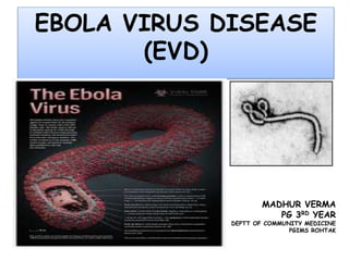 EBOLA VIRUS DISEASE 
(EVD) 
MADHUR VERMA 
PG 3RD YEAR 
DEPTT OF COMMUNITY MEDICINE 
PGIMS ROHTAK 
 