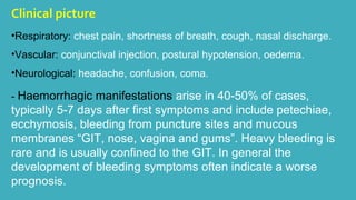 Clinical picture 
•Respiratory: chest pain, shortness of breath, cough, nasal discharge. 
•Vascular: conjunctival injection, postural hypotension, oedema. 
•Neurological: headache, confusion, coma. 
- Haemorrhagic manifestations arise in 40-50% of cases, 
typically 5-7 days after first symptoms and include petechiae, 
ecchymosis, bleeding from puncture sites and mucous 
membranes “GIT, nose, vagina and gums”. Heavy bleeding is 
rare and is usually confined to the GIT. In general the 
development of bleeding symptoms often indicate a worse 
prognosis. 
 