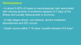 Clinical picture 
- In about 5-50% of cases a maculopapular rash associated 
with varying severity of erythema appears 5-7 days of the 
illness and usually desquamate in survivors. 
- In late stages shock, convulsions, severe metabolic 
disturbances and DIC occurs. 
- Death occurs within 7-16 days “usually between 8-9 days”. 
 
