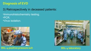 Diagnosis of EVD 
3) Retrospectively in deceased patients: 
•Immunohistochemistry testing. 
•PCR. 
•Virus isolation. 
BSL-4 positive pressure suit BSL-4 laboratory 
 