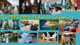 The 2013-2014 Ebolavirus EEppiiddeemmiicc iinn 
WWeesstt AAffrriiccaa 
 