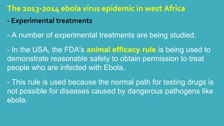 The 2013-2014 ebola virus epidemic in west Africa 
- Experimental treatments 
- A number of experimental treatments are being studied. 
- In the USA, the FDA's animal efficacy rule is being used to 
demonstrate reasonable safety to obtain permission to treat 
people who are infected with Ebola. 
- This rule is used because the normal path for testing drugs is 
not possible for diseases caused by dangerous pathogens like 
ebola. 
 