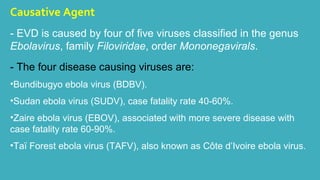 Causative Agent 
- EVD is caused by four of five viruses classified in the genus 
Ebolavirus, family Filoviridae, order Mononegavirals. 
- The four disease causing viruses are: 
•Bundibugyo ebola virus (BDBV). 
•Sudan ebola virus (SUDV), case fatality rate 40-60%. 
•Zaire ebola virus (EBOV), associated with more severe disease with 
case fatality rate 60-90%. 
•Taï Forest ebola virus (TAFV), also known as Côte d’Ivoire ebola virus. 
 