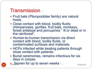 Hypothesis : Marburg transmission 
11 Tarek Amin 10/28/14 
 