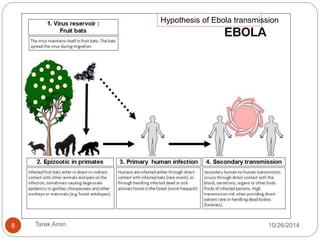 8 Tarek Amin 10/28/14 
 