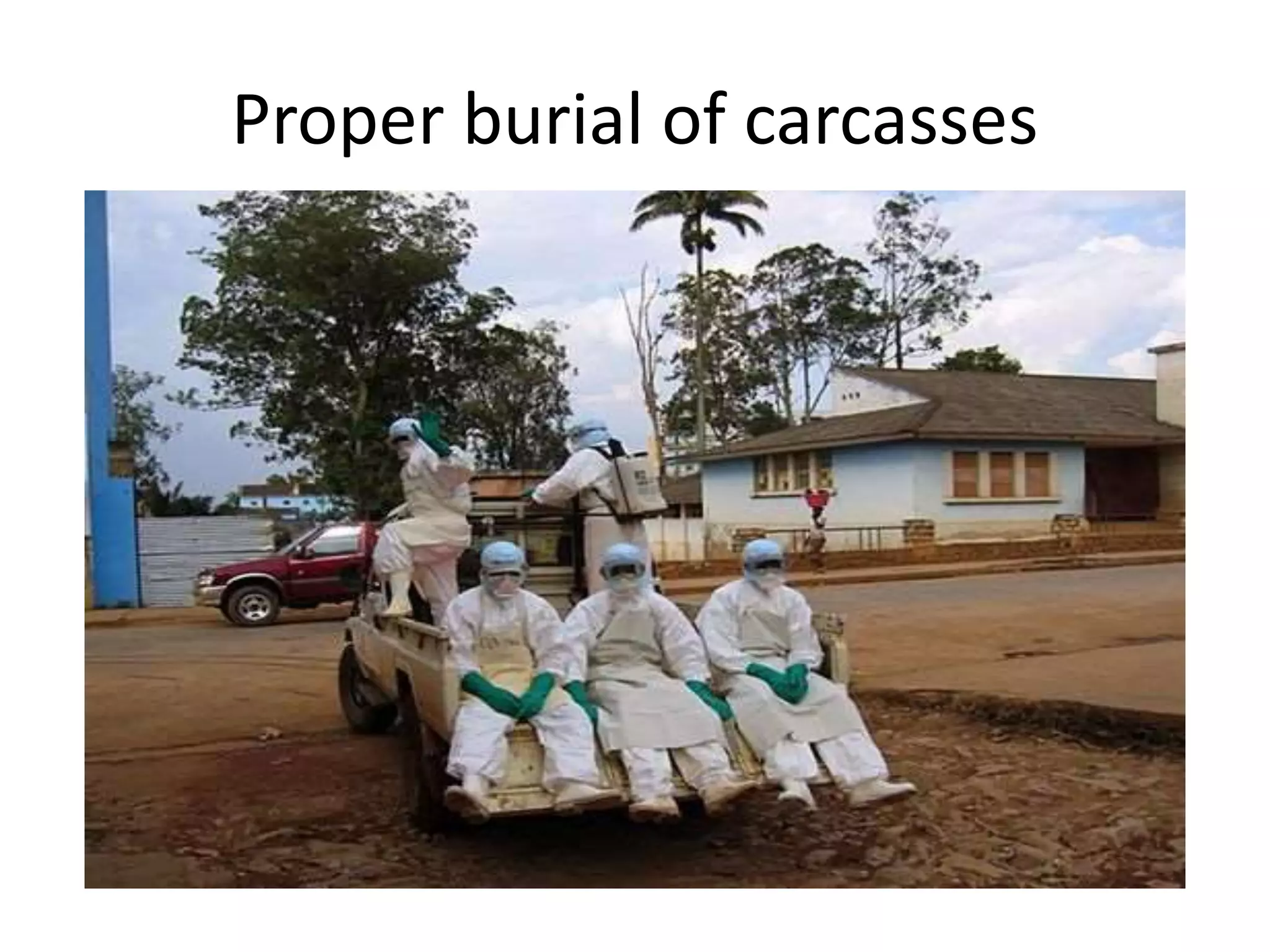 Proper burial of carcasses
 