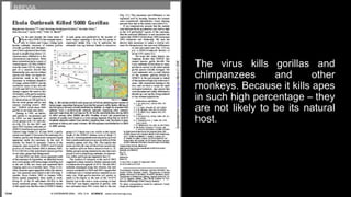 The virus kills gorillas and
chimpanzees and other
monkeys. Because it kills apes
in such high percentage – they
are not likely to be its natural
host.
 