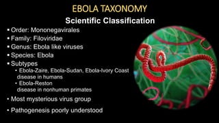 EBOLA TAXONOMY
Scientific Classification
 Order: Mononegavirales
 Family: Filoviridae
 Genus: Ebola like viruses
 Species: Ebola
 Subtypes
• Ebola-Zaire, Ebola-Sudan, Ebola-Ivory Coast
disease in humans
• Ebola-Reston
disease in nonhuman primates
• Most mysterious virus group
• Pathogenesis poorly understood
 