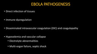 EBOLA PATHOGENESIS
• Direct infection of tissues
• Immune dysregulation
• Disseminated intravascular coagulation (DIC) and coagulopathy
• Hypovolemia and vascular collapse
• Electrolyte abnormalities
• Multi-organ failure, septic shock
 