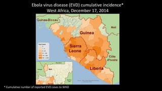 Ebola virus disease (EVD) cumulative incidence*
West Africa, December 17, 2014
* Cumulative number of reported EVD cases to WHO
 