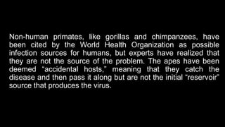 Non-human primates, like gorillas and chimpanzees, have
been cited by the World Health Organization as possible
infection sources for humans, but experts have realized that
they are not the source of the problem. The apes have been
deemed “accidental hosts,” meaning that they catch the
disease and then pass it along but are not the initial “reservoir”
source that produces the virus.
 