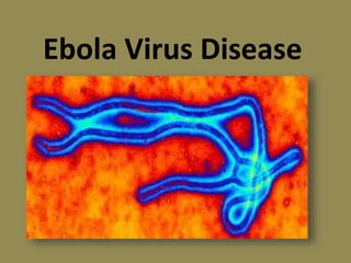 Ebola Virus Disease
 