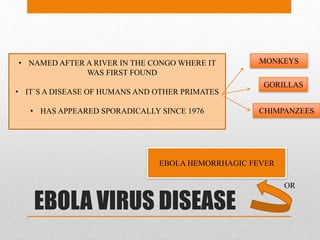 EBOLA VIRUS DISEASE
EBOLA HEMORRHAGIC FEVER
OR
• NAMED AFTER A RIVER IN THE CONGO WHERE IT
WAS FIRST FOUND
• IT´S A DISEASE OF HUMANS AND OTHER PRIMATES
• HAS APPEARED SPORADICALLY SINCE 1976
MONKEYS
GORILLAS
CHIMPANZEES
 