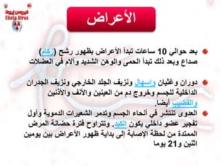 ‫بعد‬‫حوالي‬10‫ساعات‬‫رشح‬ ‫بظهور‬ ‫األعراض‬ ‫تبدأ‬(‫زكام‬)
‫صداع‬‫العضال‬ ‫في‬ ‫وآالم‬ ‫الشديد‬ ‫والوهن‬ ‫الحمى‬ ‫تبدأ‬ ‫ذلك‬ ‫وبعد‬‫ت‬
‫دوران‬‫وغثيان‬‫وإسهال‬‫الجدران‬ ‫ونزيف‬ ‫الخارجي‬ ‫الجلد‬ ‫ونزيف‬
‫واألذنين‬ ‫واألنف‬ ‫العينين‬ ‫من‬ ‫دم‬ ‫وخروج‬ ‫للجسم‬ ‫الداخلية‬
‫والقضيب‬‫أيضا‬.
‫العدوى‬‫الجسم‬ ‫أنحاء‬ ‫في‬ ‫تنتشر‬‫وتدمر‬‫و‬ ‫الدموية‬ ‫الشعيرات‬‫أول‬
‫يكون‬ ‫داخلي‬ ‫عضو‬ ‫تفجير‬‫الكبد‬.‫ال‬ ‫حضانة‬ ‫فترة‬ ‫وتتراوح‬‫مرض‬
‫الممتدة‬‫اإلصابة‬ ‫لحظة‬ ‫من‬‫إلى‬‫ظهور‬ ‫بداية‬‫األ‬‫عراض‬‫بين‬‫يومي‬‫ن‬
‫و‬ ‫اثنين‬21‫يوما‬
‫األعراض‬
 
