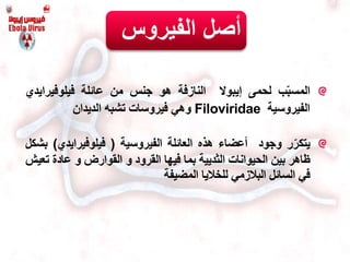 ‫ب‬ّ‫ب‬‫المس‬‫لحمى‬‫إيبوال‬‫النازفة‬‫هو‬‫جنس‬‫من‬‫عائلة‬‫فيلوفيرايدي‬
‫الفيروسية‬Filoviridae‫وهي‬‫فيروسات‬‫تشبه‬‫الديدان‬
‫ر‬ّ‫يتكر‬‫وجود‬‫أعضاء‬‫هذه‬‫العائلة‬‫الفيروسية‬(‫فيلوفيرايدي‬)‫بشكل‬
‫ظاهر‬‫بين‬‫الحيوانات‬‫الثديية‬‫بما‬‫فيها‬‫القرود‬‫و‬‫القوارض‬‫و‬‫عادة‬‫ت‬‫عيش‬
‫في‬‫السائل‬‫البالزمي‬‫للخاليا‬‫المضيفة‬
‫أ‬‫الفيروس‬ ‫صل‬
 